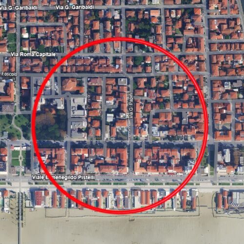 Disinfestazione contro zanzare per caso Dengue a Lido: disposizioni e aree interessate